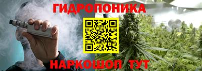 хмурый Жуковский