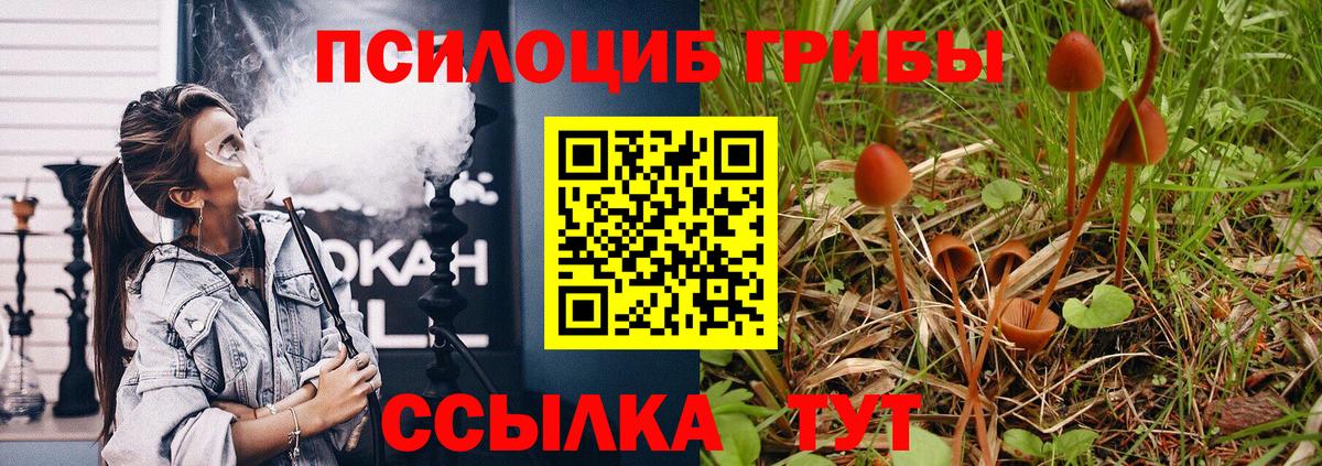 Котовск  Галлюциногенные грибы прущие грибы  Галлюциногенные грибы Psilocybine cubensis  Вход с VPN 