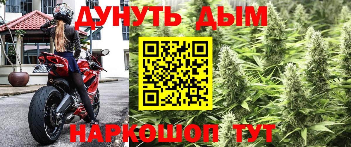 Шишки марихуана SATIVA & INDICA Котовск
